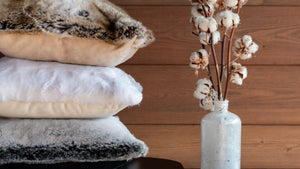 Collection maison maison prélonge 